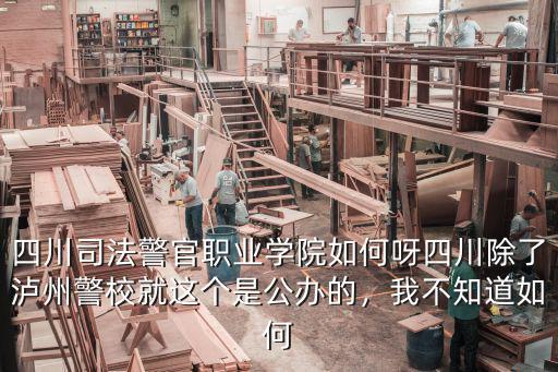 四川司法警官職業學院如何呀四川除了瀘州警校就這個是公辦的，我不知道如何