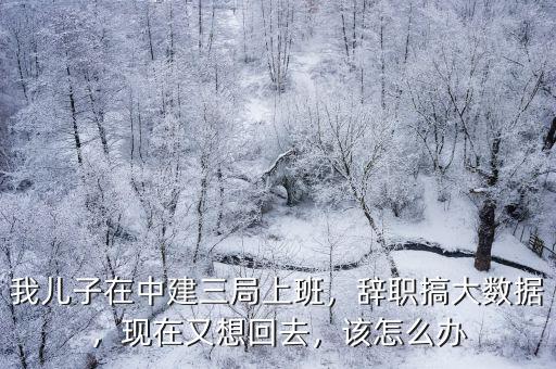 我兒子在中建三局上班，辭職搞大數據，現在又想回去，該怎么辦