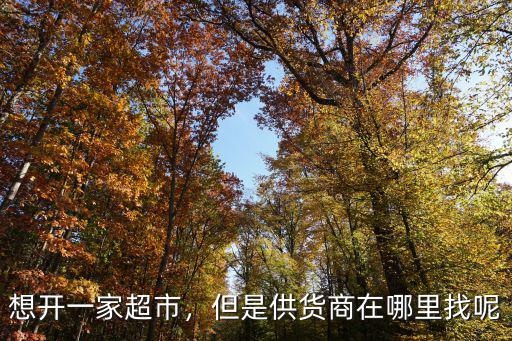 想開一家超市，但是供貨商在哪里找呢