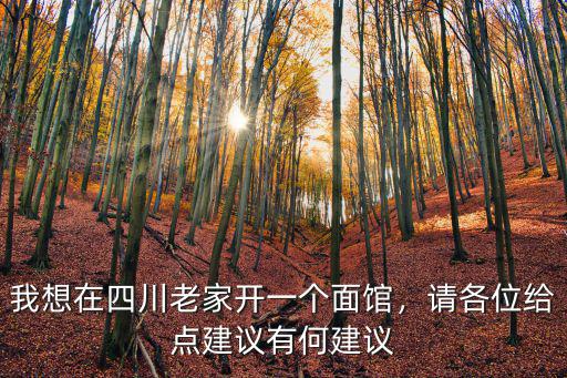 我想在四川老家開一個面館，請各位給點建議有何建議