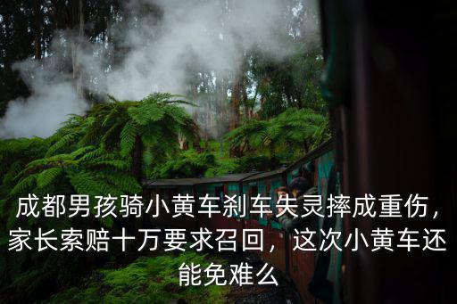 成都男孩騎小黃車剎車失靈摔成重傷，家長索賠十萬要求召回，這次小黃車還能免難么
