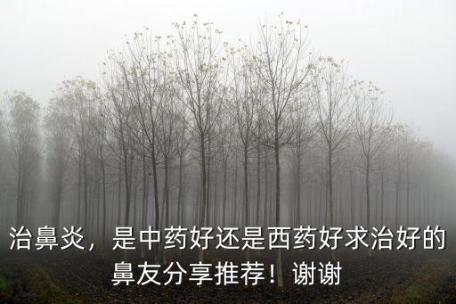 治鼻炎，是中藥好還是西藥好求治好的鼻友分享推薦！謝謝