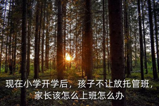 現在小學開學后，孩子不讓放托管班，家長該怎么上班怎么辦