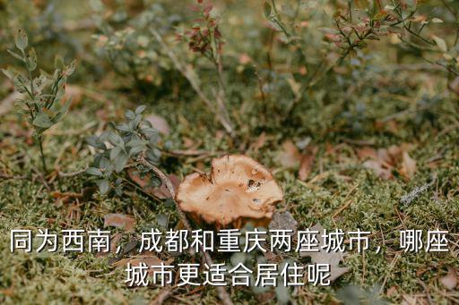 重慶和成都哪里適合居住,重慶和成都哪里比較適合養老