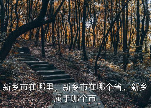 新鄉市新悅城在哪里,新鄉市在哪里