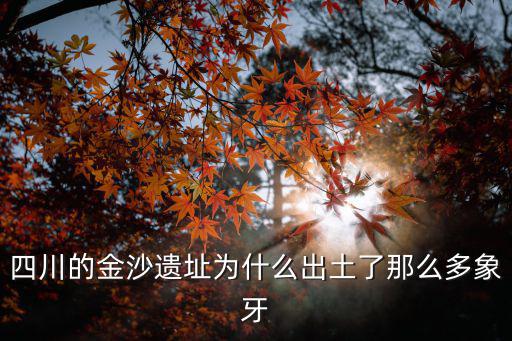 四川的金沙遺址為什么出土了那么多象牙