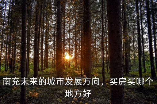 南充市哪里發(fā)展的最好,南充未來的城市發(fā)展方向
