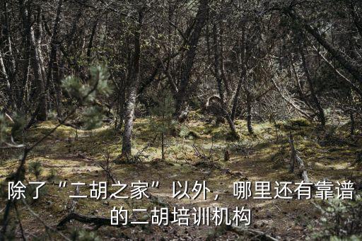 除了“二胡之家”以外，哪里還有靠譜的二胡培訓機構