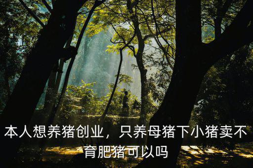 本人想養(yǎng)豬創(chuàng)業(yè)，只養(yǎng)母豬下小豬賣不育肥豬可以嗎