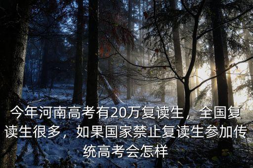 今年河南高考有20萬復讀生，全國復讀生很多，如果國家禁止復讀生參加傳統高考會怎樣