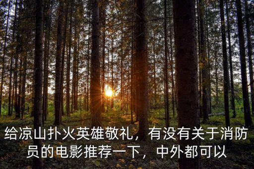 涼山撲火英雄是哪里人,撲火隊員18人犧牲