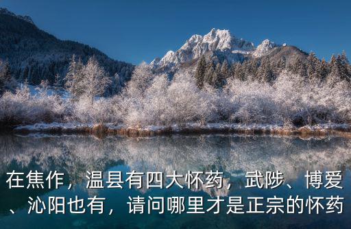 在焦作，溫縣有四大懷藥，武陟、博愛、沁陽也有，請問哪里才是正宗的懷藥