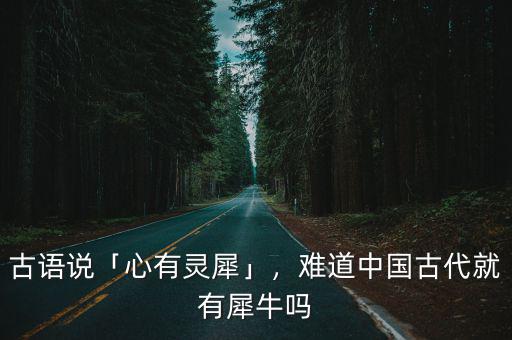 古語說「心有靈犀」，難道中國(guó)古代就有犀牛嗎