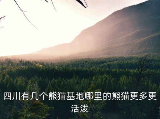 成都熊貓祖籍是哪里,成都有兩個熊貓基地