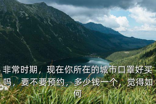 非常時期，現(xiàn)在你所在的城市口罩好買嗎，要不要預(yù)約，多少錢一個，覺得如何