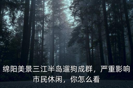 綿陽美景三江半島遛狗成群，嚴重影響市民休閑，你怎么看