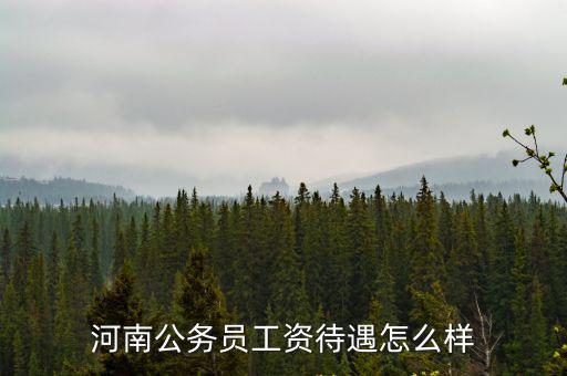 河南公務員工資待遇怎么樣