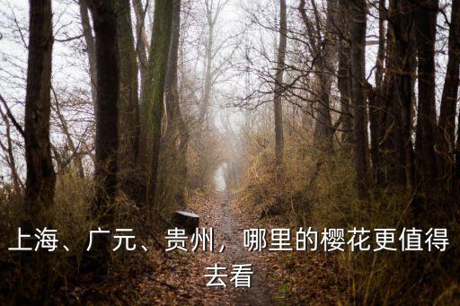 廣元哪里看紅梅花,四川廣元哪里可以賞花