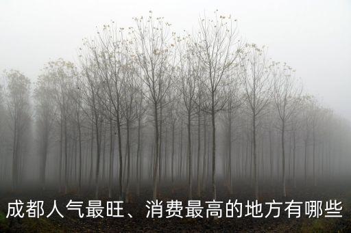成都人氣最旺、消費最高的地方有哪些
