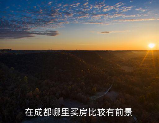 在成都哪里買房比較有前景