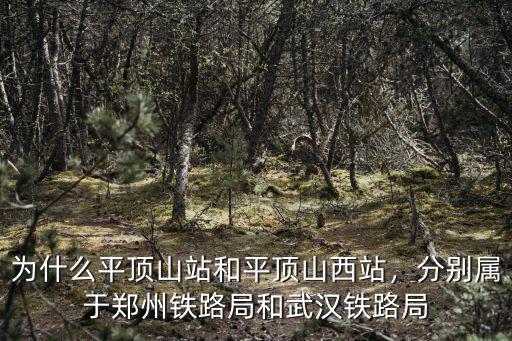平頂山平頂山市保健站在哪里啊6,為什么平頂山站和平頂山西站