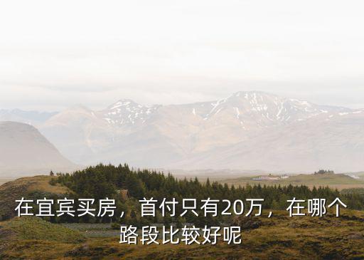 在宜賓買房，首付只有20萬，在哪個路段比較好呢