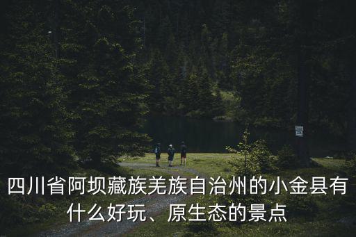 四川省阿壩藏族羌族自治州的小金縣有什么好玩、原生態的景點