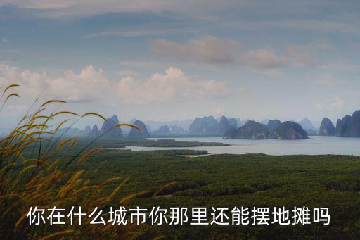 你在什么城市你那里還能擺地攤嗎
