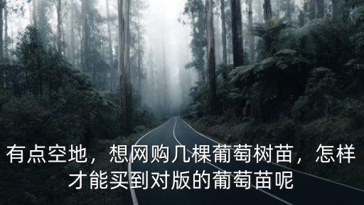 綿陽哪里能買到最好的葡萄苗,哪里可以買到葡萄苗