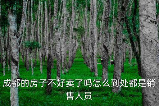 成都的房子不好賣了嗎怎么到處都是銷售人員