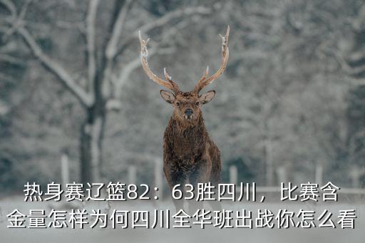 熱身賽遼籃82：63勝四川，比賽含金量怎樣為何四川全華班出戰你怎么看