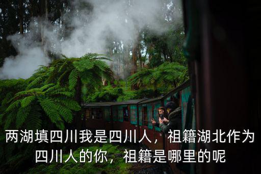 兩湖填四川我是四川人，祖籍湖北作為四川人的你，祖籍是哪里的呢