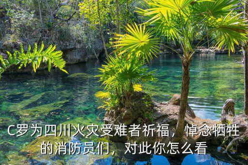 四川犧牲消防員來自哪里,四川大火犧牲的30名消防員