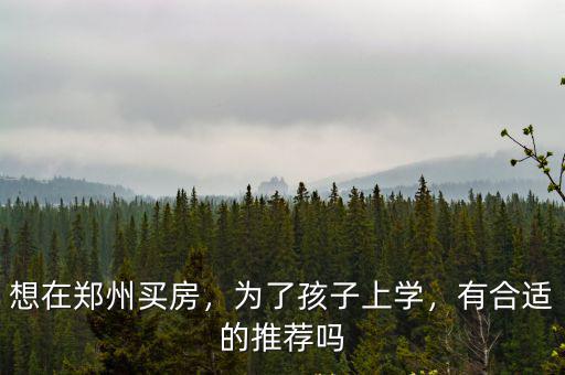 想在鄭州買房，為了孩子上學(xué)，有合適的推薦嗎