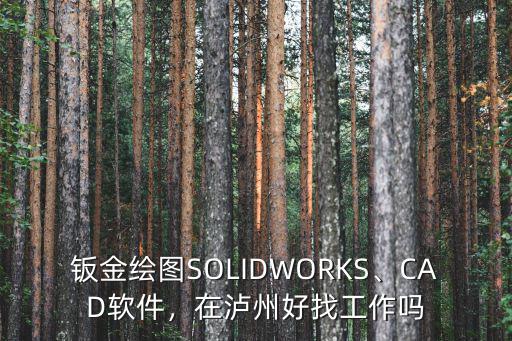 鈑金繪圖SOLIDWORKS、CAD軟件，在瀘州好找工作嗎