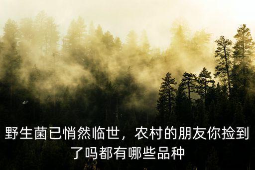 野生菌已悄然臨世，農村的朋友你撿到了嗎都有哪些品種