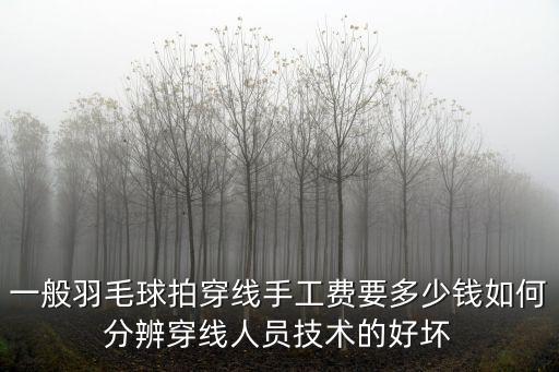 一般羽毛球拍穿線手工費要多少錢如何分辨穿線人員技術的好壞