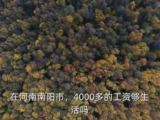 南陽市2018社平工資是多少,在河南南陽市
