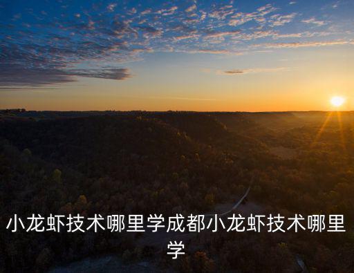 四川養小龍蝦在哪里可以學,小龍蝦技術哪里學