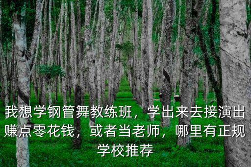 南充哪里有鋼管舞學校,哪里有正規學校推薦