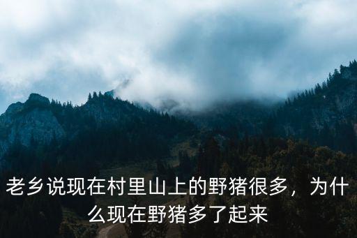 四川哪里山上野豬最多,中國哪里的山最多