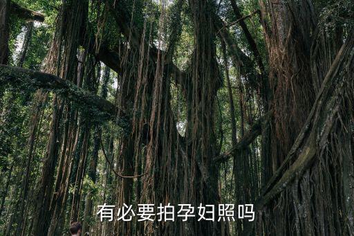 綿陽梓潼哪里有拍孕婦照,有必要拍孕婦照嗎