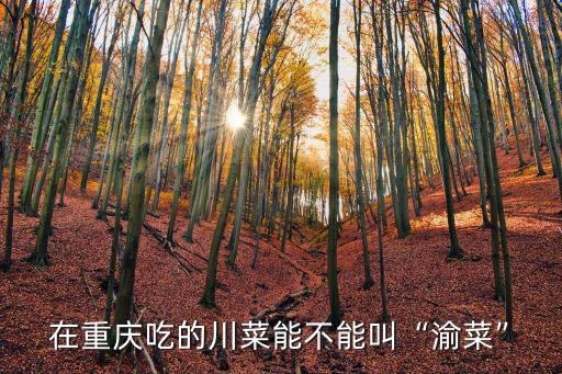 哪里能下載四川川菜食譜,哪里可以學(xué)習(xí)川菜