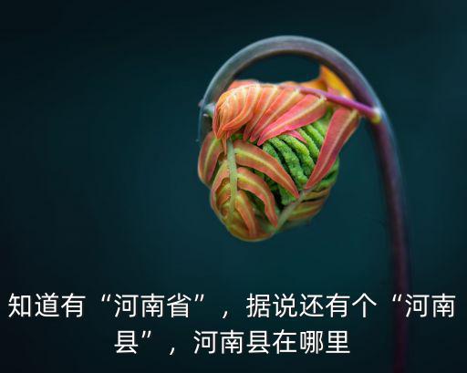 知道有“河南省”，據說還有個“河南縣”，河南縣在哪里