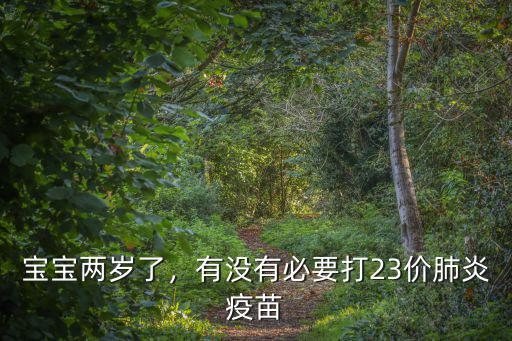 成都2歲哪里打13價(jià)肺炎疫苗,小孩的肺炎疫苗該如何打