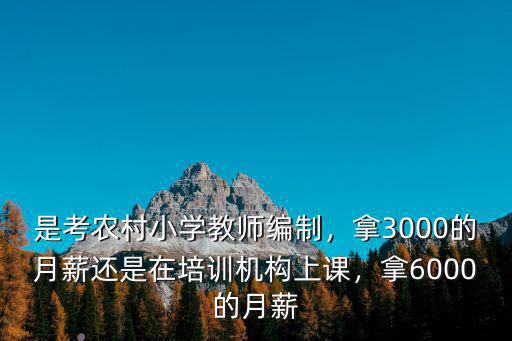 在鶴壁小學教師能拿多少工資,小學教師的工資是多少