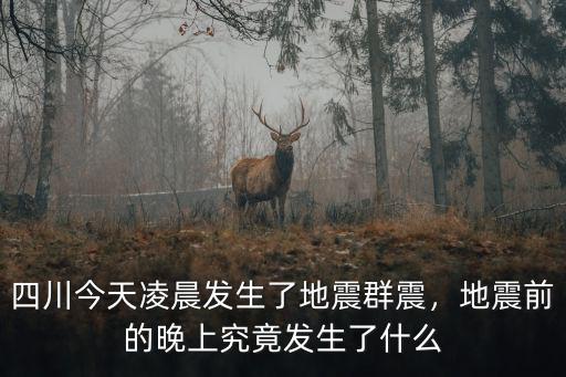 今天四川哪里發生地震,四川今天凌晨發生了地震群震