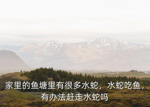 家里的魚塘里有很多水蛇，水蛇吃魚，有辦法趕走水蛇嗎