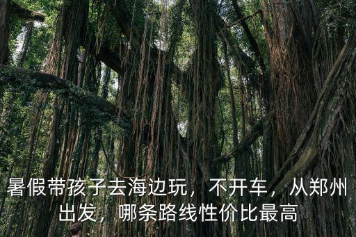 暑假帶孩子到鄭州怎么玩,暑假帶孩子去海邊玩