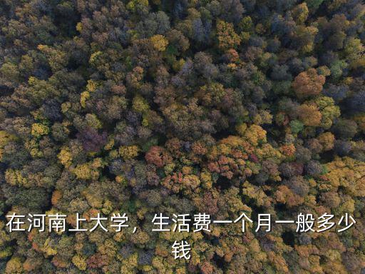 河南上大學(xué)生活費多少,在河南上大學(xué)